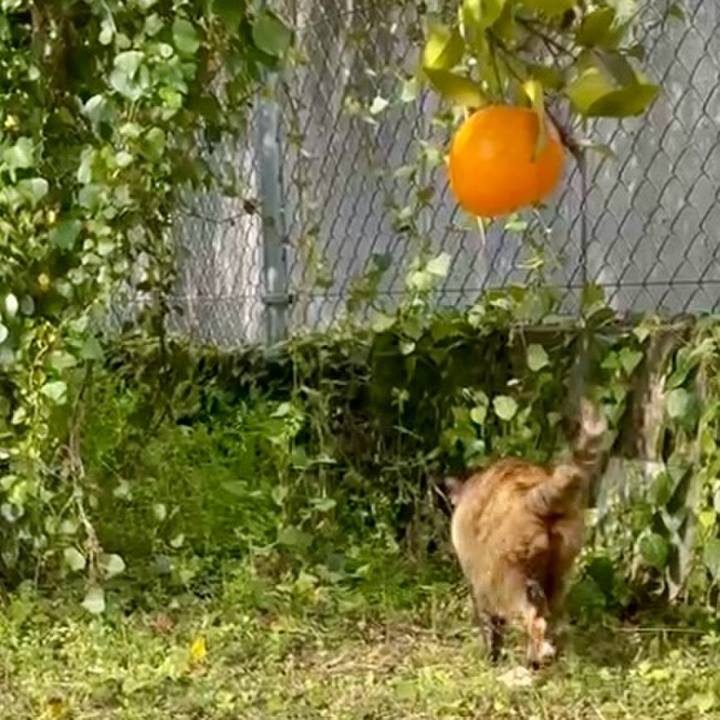 55ef5f8f 93b2 45a9 b373 ffbae0f60411 1774495662783