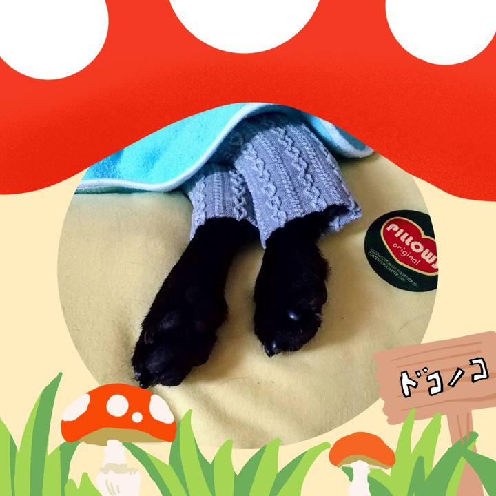 55ef74bf 5cda 423e 8d93 af5675cd0919 1729293831675