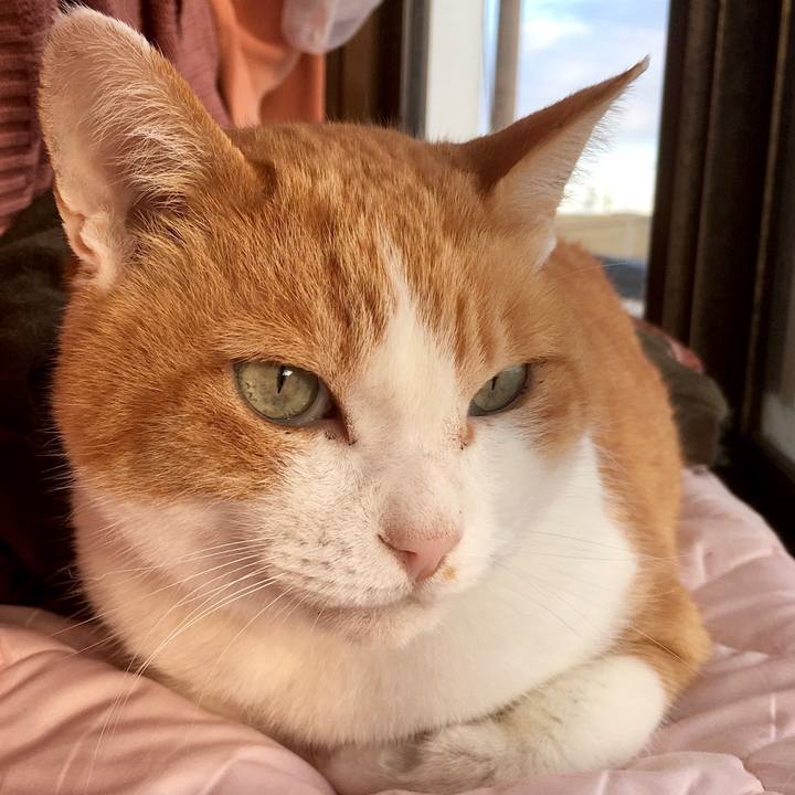 55ef9378 04a9 42ac bb79 8773984ed74a 1585037723415