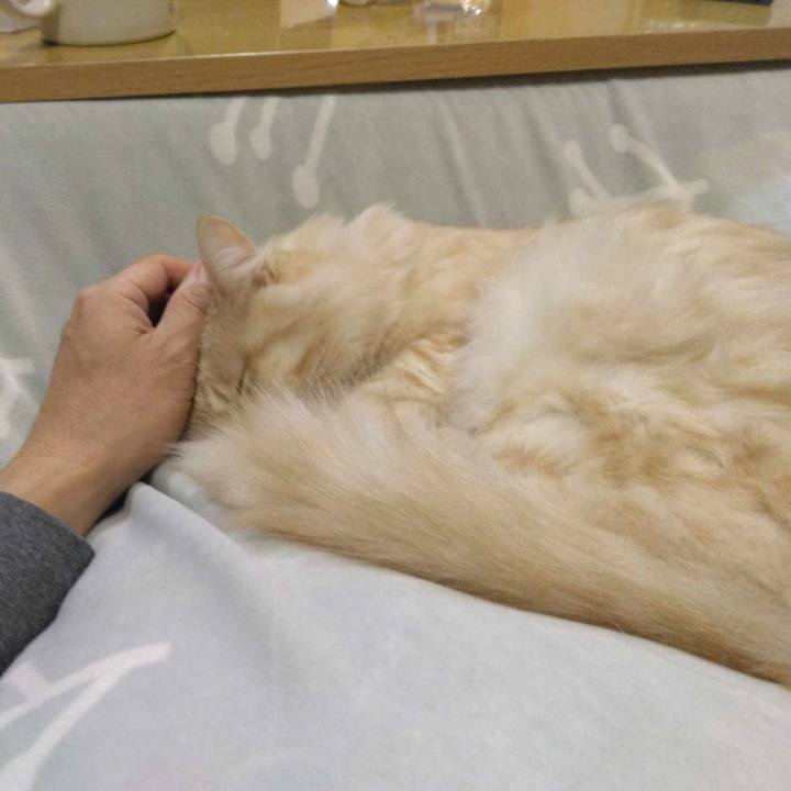 55efa007 3497 4fa6 bf6c 97c3c6121131 1700223260465