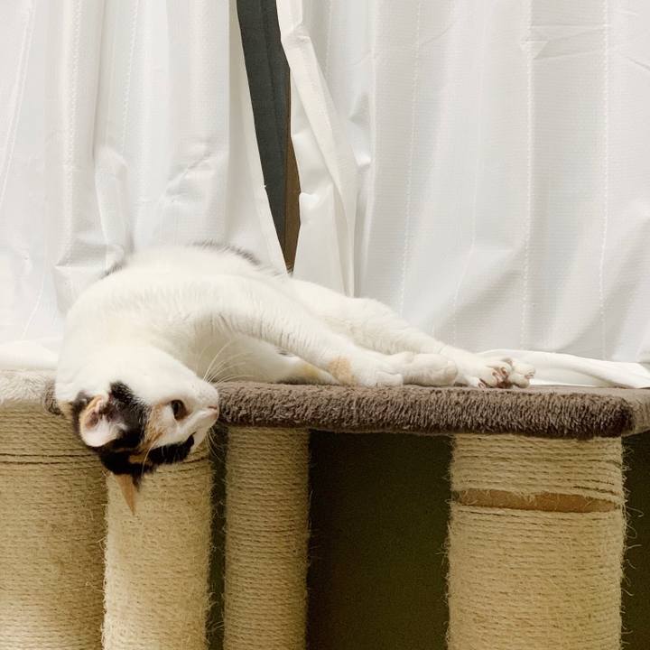 55f0565c 78b8 4723 9b9c be8e4490406c 1550626498097