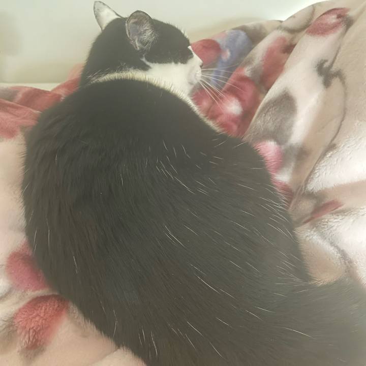 55f06c35 0af8 4ab2 a3e0 a9e4fcc17b57 1674368841426