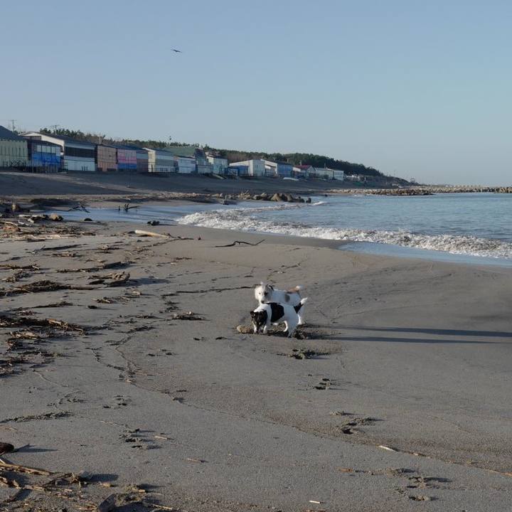 55f07715 51d5 4117 8ccd 6ad55478f790 1573621919778