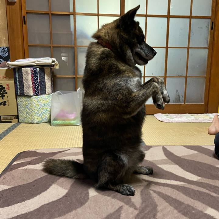 55f08c21 359f 404a 9f3b 41300e560d83 1598688879170