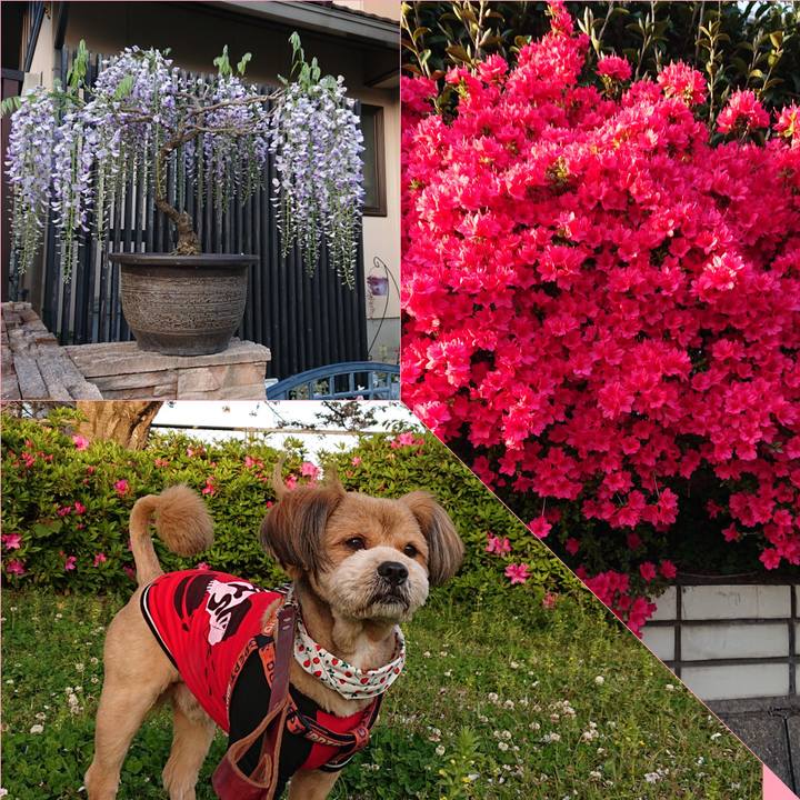 55f0fbd9 077e 4626 a7ef 9d2d87b436e2 1555322432848