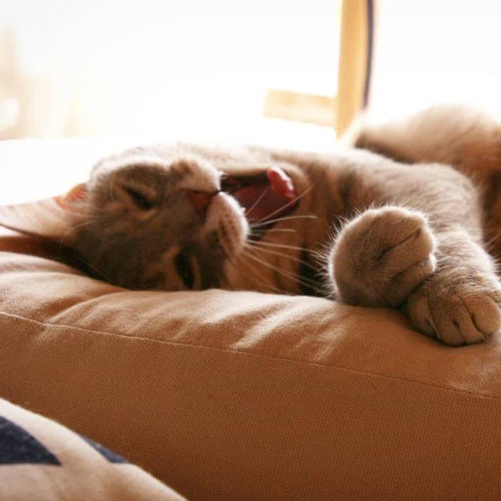 55f103ab f872 4f1d 8e2b af3f63d3d37a 1525092179369