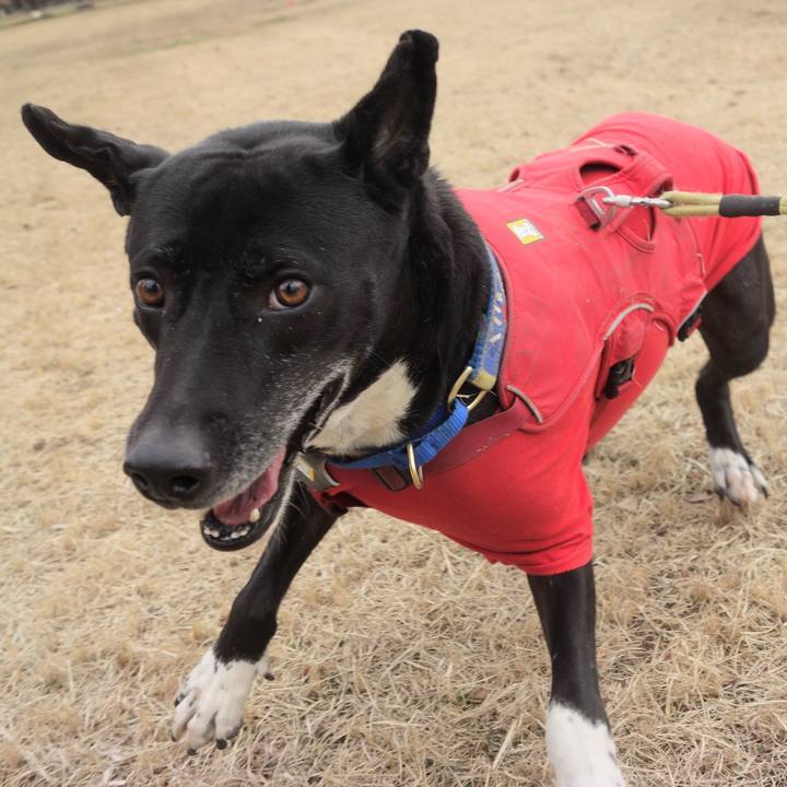 55f17381 8679 4bd7 b631 5a99d740e4e8 1676337163819