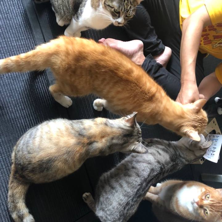 55f17e6e 25ee 4cbc aea1 aa5adfc60dd4 1590054453626