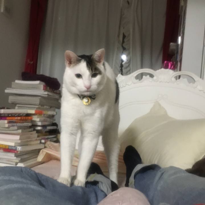 55f18ee4 af13 44cf b0dc 3f15f1346a28 1516537680006