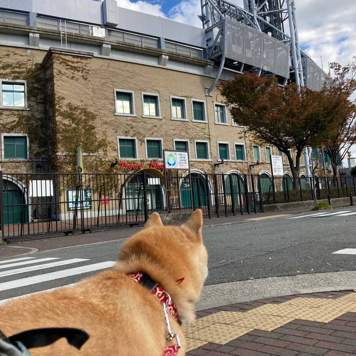 55f1bca2 6870 4edf 9bc3 6088abcf3ea6 1636721721821