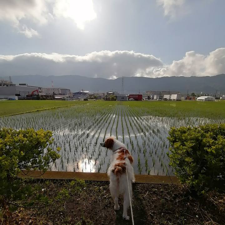 55f1be2d b7f6 4c01 873c 299295edc0d4 1623626244222