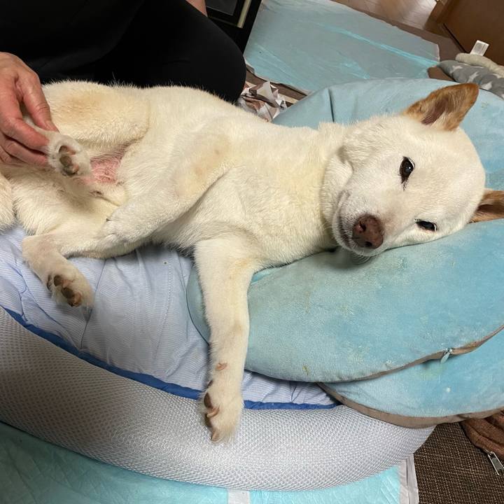 55f1c9b8 c310 4fe8 940f da3cbc913a0c 1654099698310