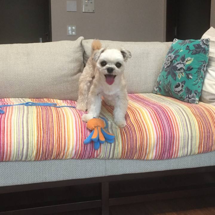 55f1d48e 394c 4b85 94ec 00b97f3f8fa5 1560334940713