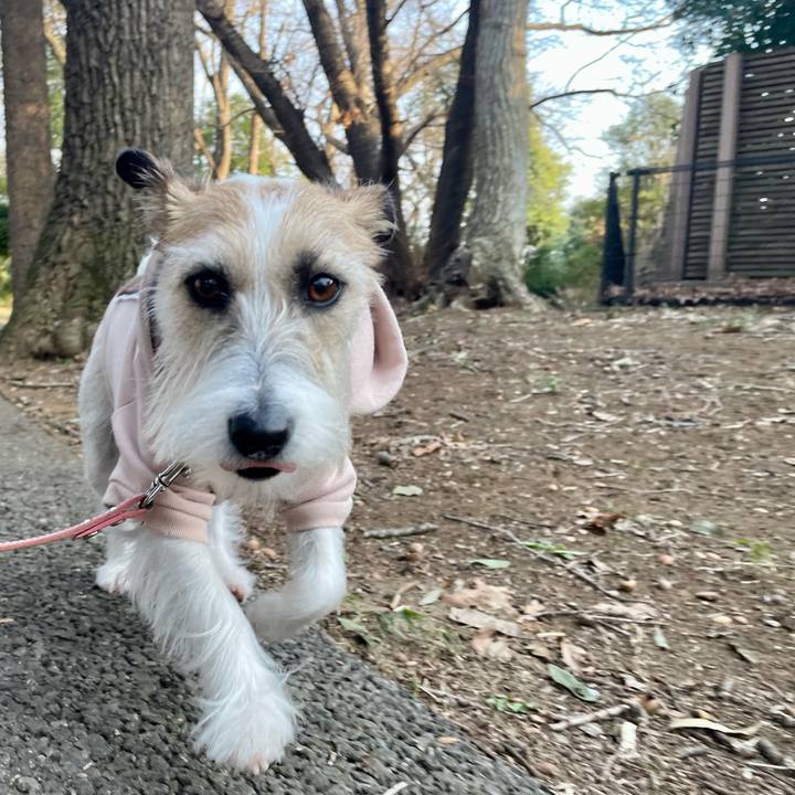 55f1e7cd b547 4700 808f 83b635d1fdc8 1678175717677