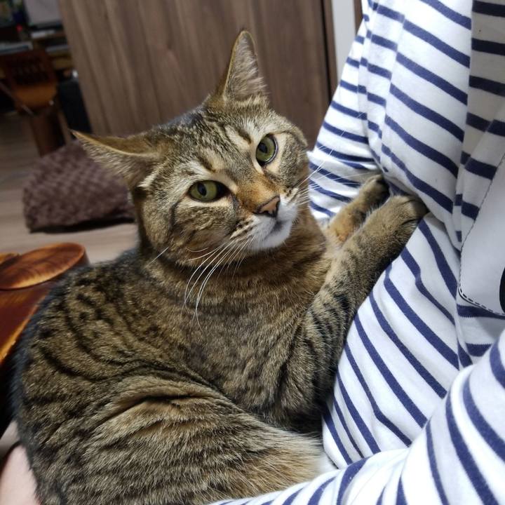 55f216a4 6c08 4572 9bc2 9869eed3d147 1578570415269