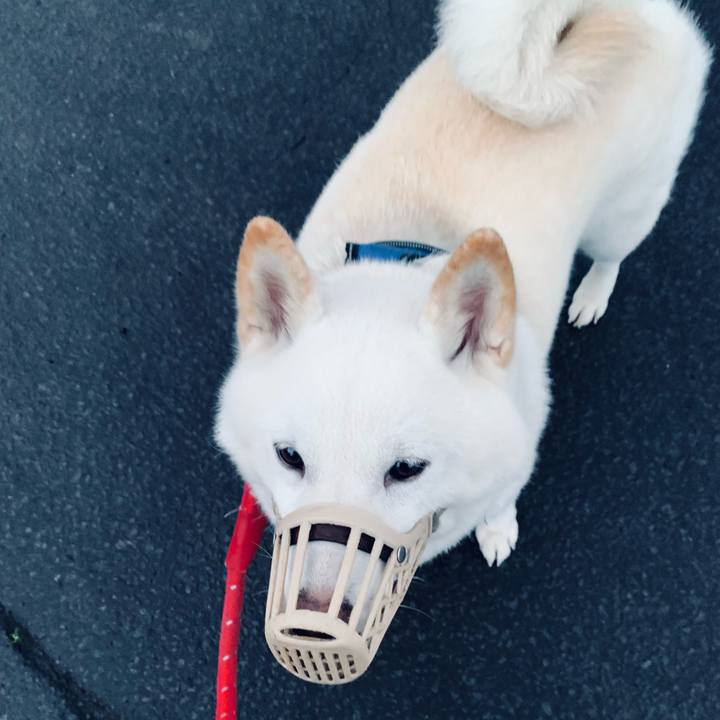 55f22f3e 1b2a 4c24 b60c d56182007158 1663966708236