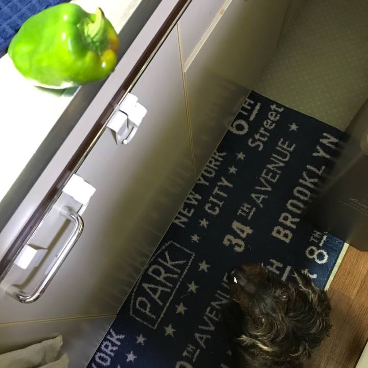 55f26766 8d72 49ca 80f7 da645f517832 1538480969575