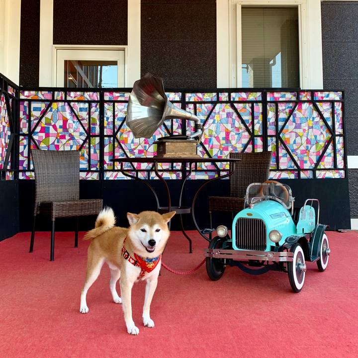 55f285ea 21d3 4c2b bd70 54d55f7cdab2 1603361688582