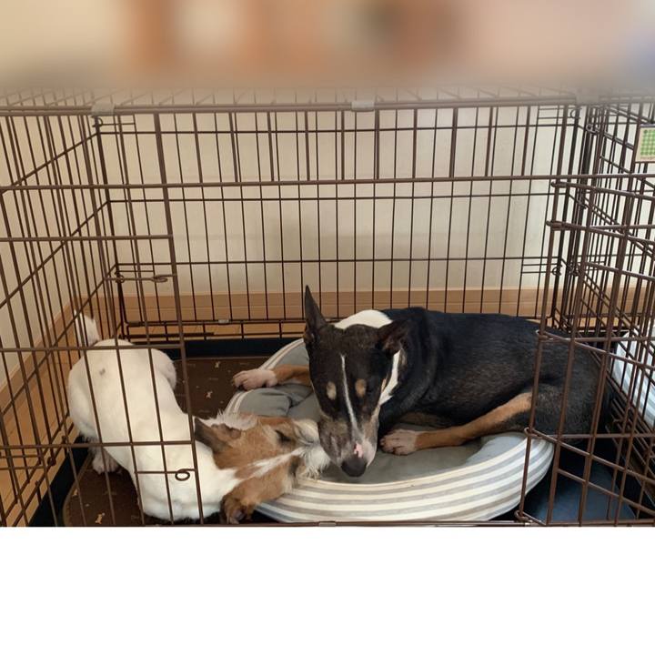 55f2875f e9d4 4c99 ac3b 488929c16a10 1596778438800