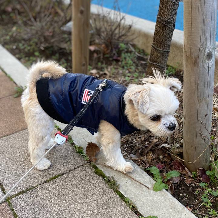 55f2a5eb 0946 4949 8b68 4e7e4739f986 1575170126253