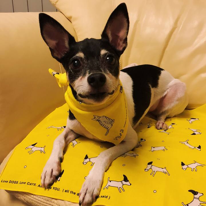 55f2e525 53ec 41db 9bca f941a2fe0831 1534853541858