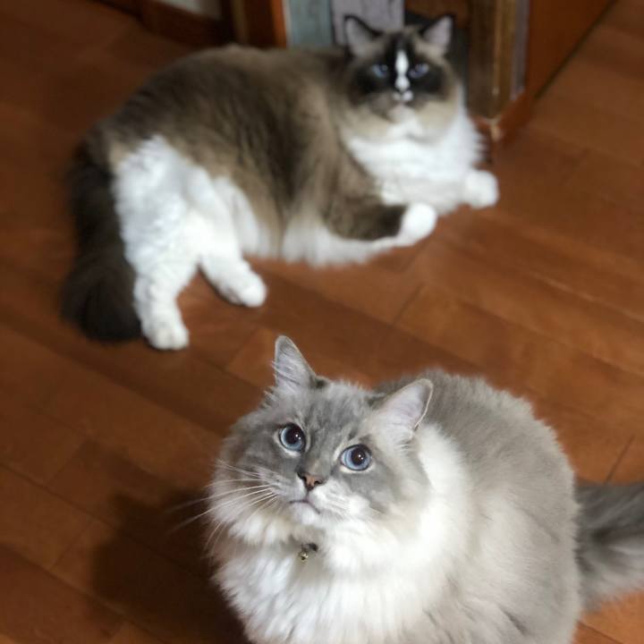 55f2fc9c 367d 4f9a a018 13eb567eaf0f 1723119281975