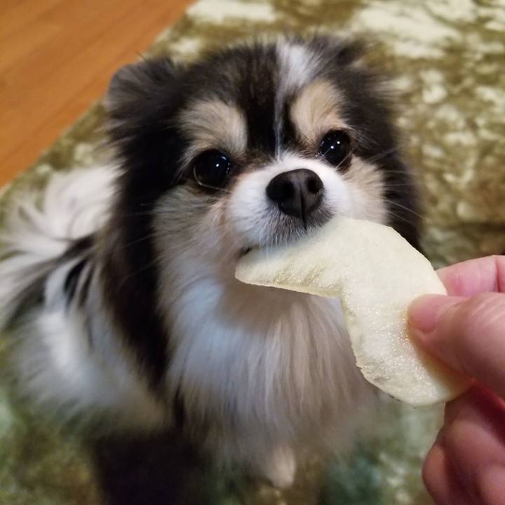 55f30c35 6041 4598 a004 4694860a2d1e 1577319027858