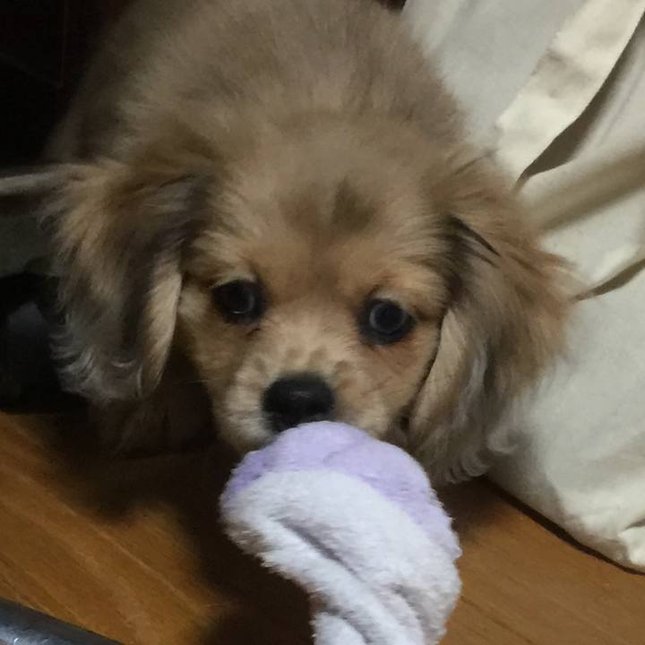 55f31a3f f71d 4893 86ca 5c51e5ac2844 1669328681781