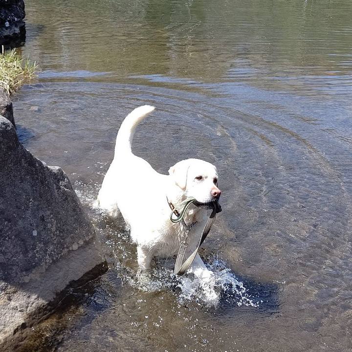 55f3390d 86f9 43e1 a2b4 77c78a77aae0 1651982969480