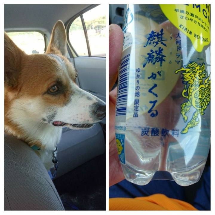 55f35031 bfab 40e7 b96b 4751cc70b70c 1588938121299