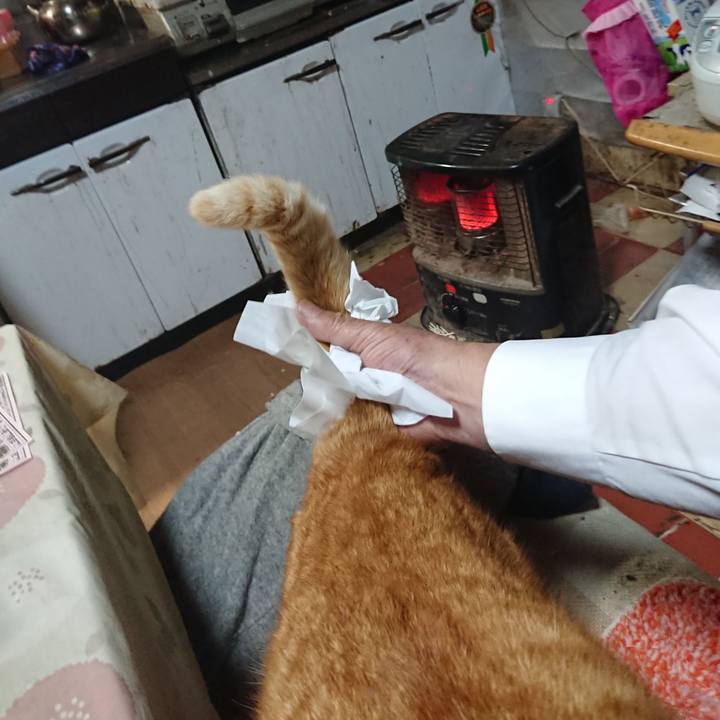 55f358c1 8b61 4328 bd2b d4ce1f000adc 1577354402559