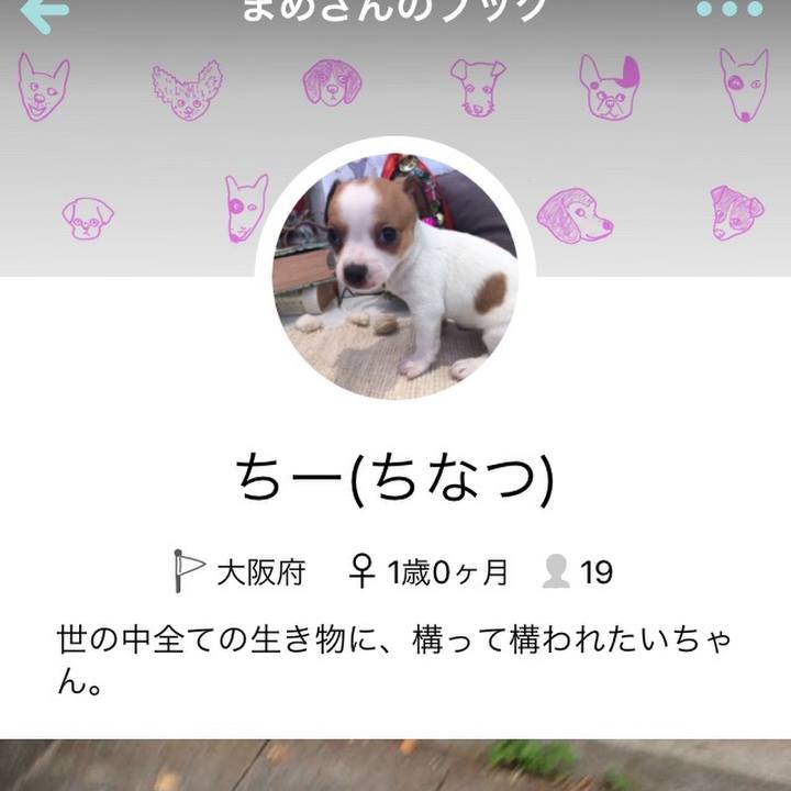 55f392b9 1569 4932 aa34 656607301375 1572959163034