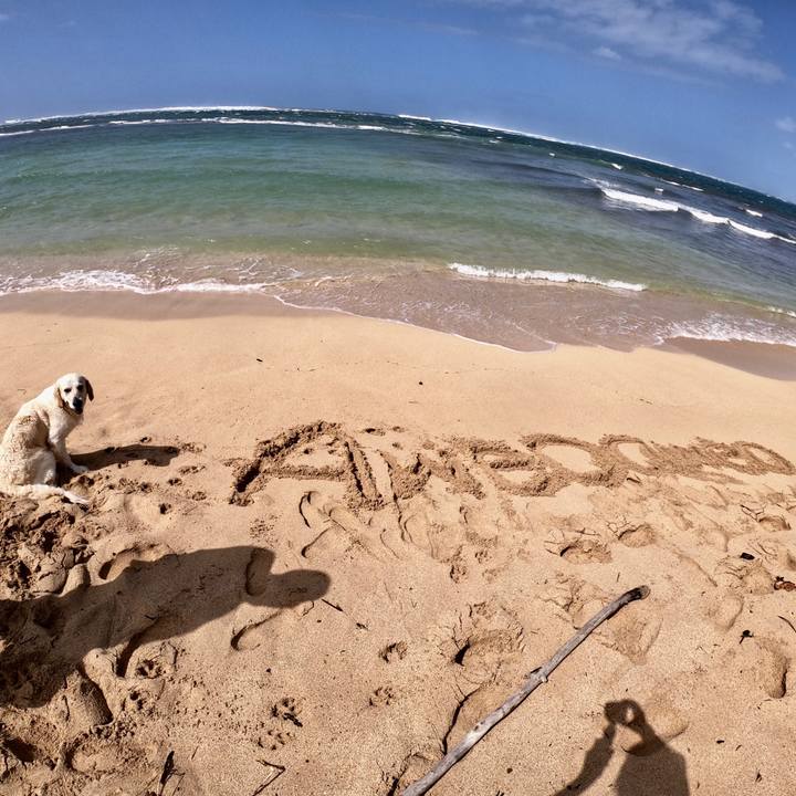 55f3a478 97f6 4bf4 b317 0fc80c9f382e 1552897542823