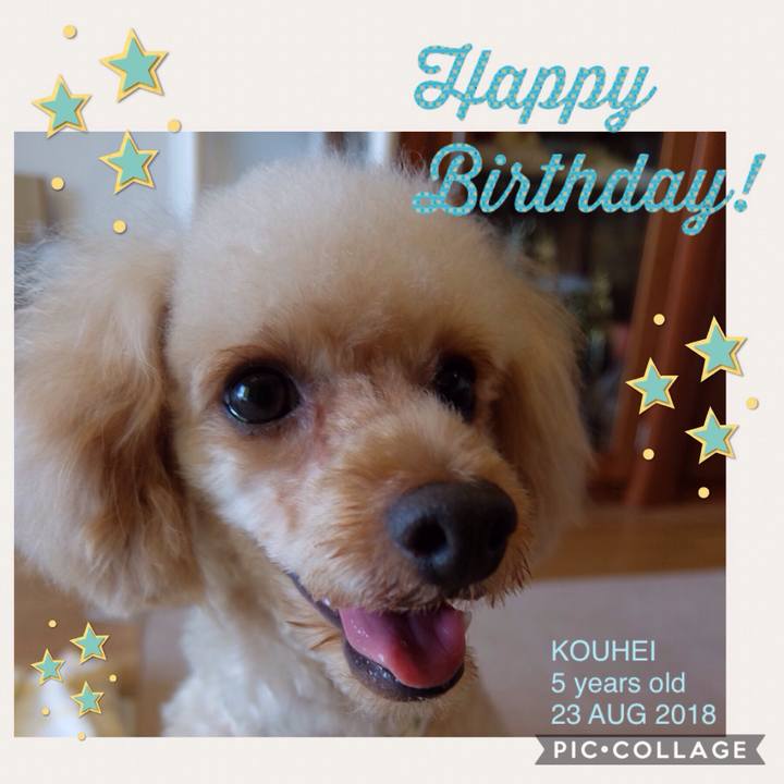 55f3ab96 23cf 4a4e b165 94bccee66297 1534965341783