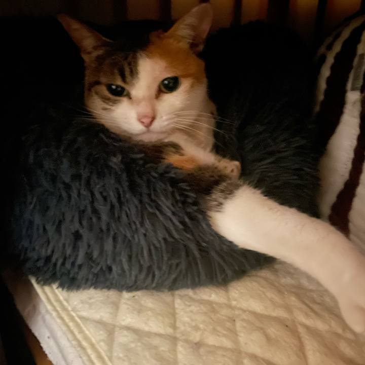 55f3c0a6 3e0d 44e0 ad77 8aa13ac62fb4 1733407035995