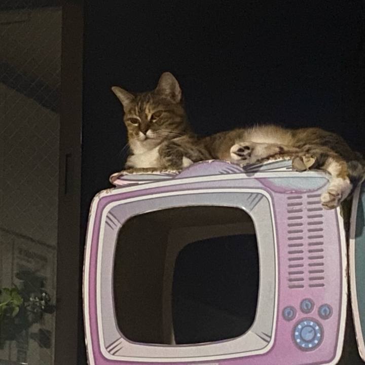 55f42d91 4402 4713 90bb 1efbcd29934c 1695049174877