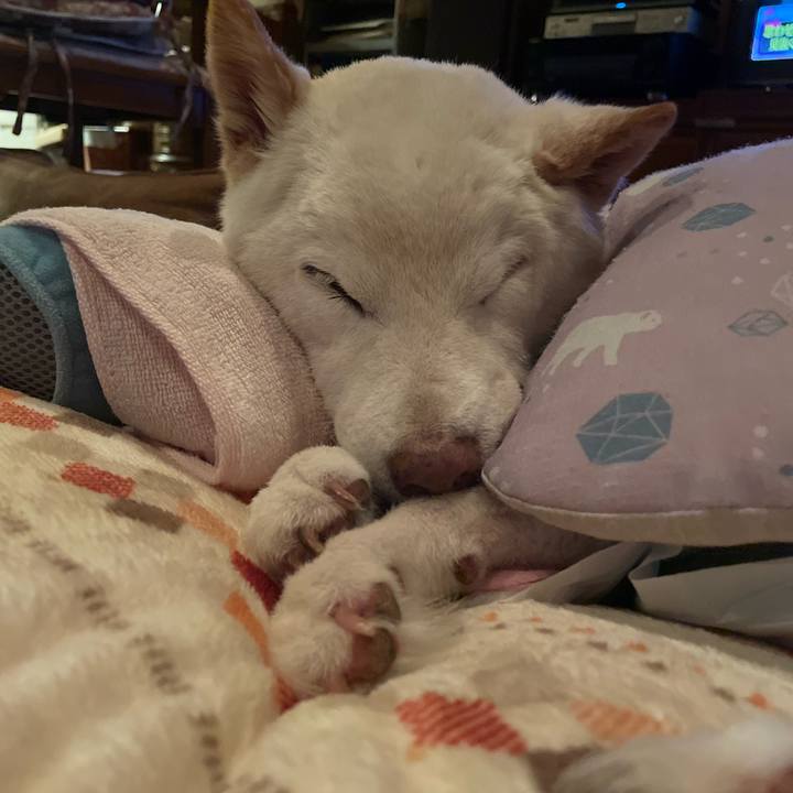 55f4307b 4f77 4ad4 af4f a8c71dc3471e 1670589954600