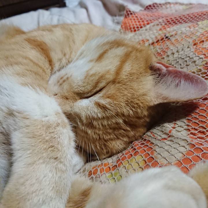 55f44010 f68a 4da0 a1ac 72ffb7906c72 1585832077352