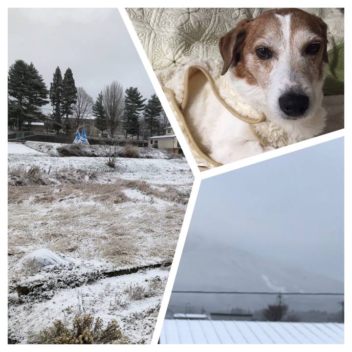 55f448ce 827b 4d62 b888 1de07648a7e1 1512168965904