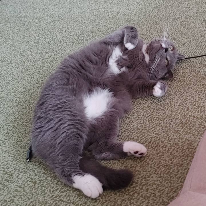 55f456c0 9bca 4ec7 ad6c 80bb702b0eb9 1720250929116