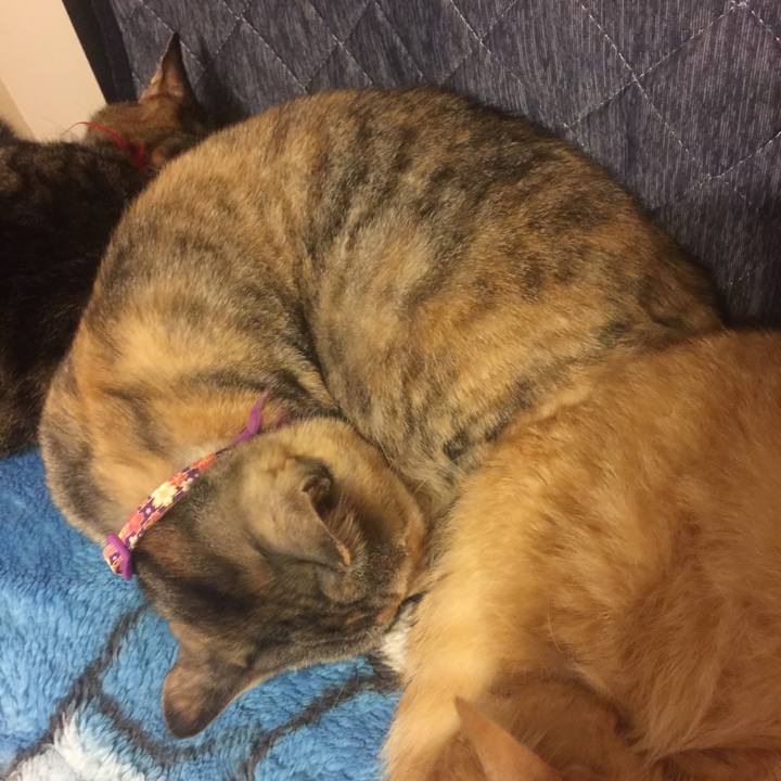 55f47ca2 d7cf 49a4 99fa b3e49b812d12 1556450339943