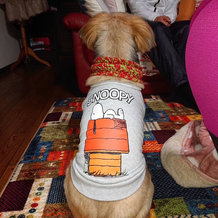 55f482b4 722d 416a bad5 cbff9c6bb9ce 1610353146109