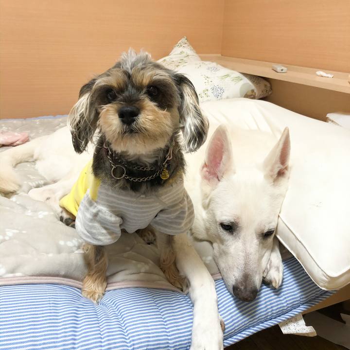 55f4a858 8847 4688 892d c2bbba7a1d37 1573943599499