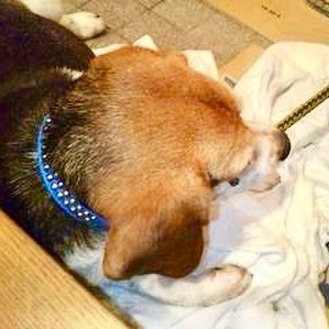 55f4d6aa 706c 43ea ac3a 3ce7290b61ff 1762407474990