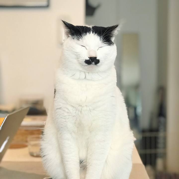 55f4e662 a433 4e6e 9104 f82ab1266acc 1519567778819