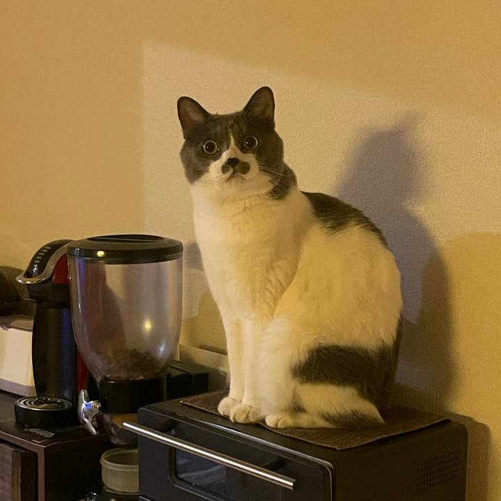 55f4ed50 786f 46d1 8331 5207a6dcd2e6 1723388970829