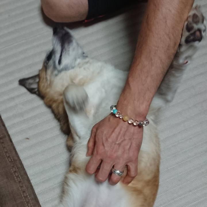 55f5115c aada 4adc a3ad 9e1a5e6074d4 1518056042954