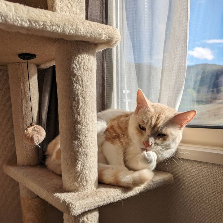 55f53066 4f2d 4382 8555 8e131b7dc6e1 1701521199786