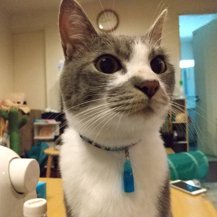 55f54dc3 8a74 45ad a27e 5b6b205ed57e 1596894605268