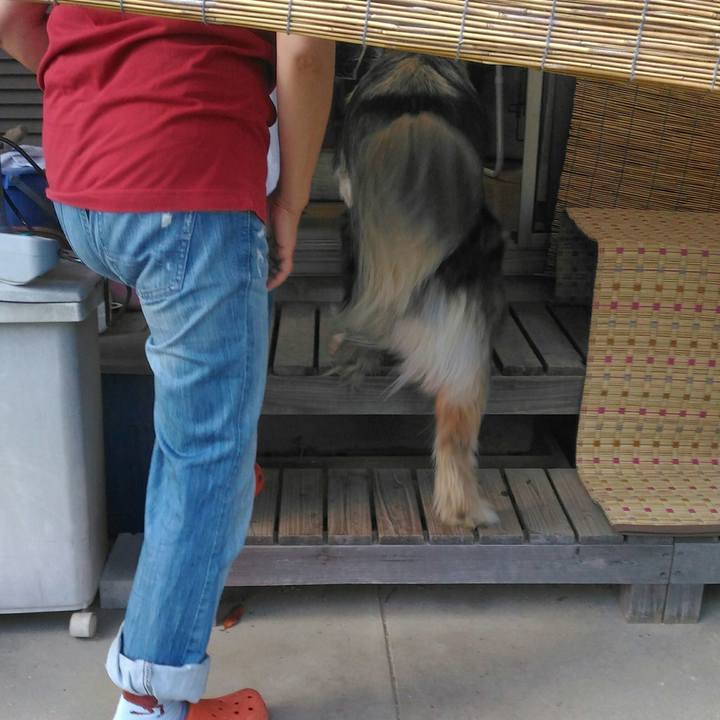 55f567b8 4cf7 4f1b be22 5cf94150eff5 1560326993699